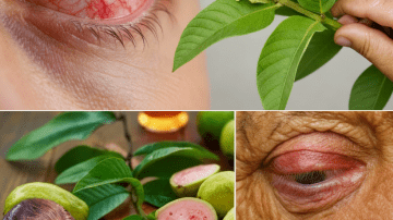 🍹 The “One Glass” Secret: How This Simple Juice Recharged My Dad’s Health and Can Transform Your Energy in Days