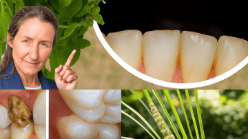 🌽 The Charcoal Revelation: 11 Forbidden Secrets of Grilled Corn That Will Change How You Eat BBQ Forever