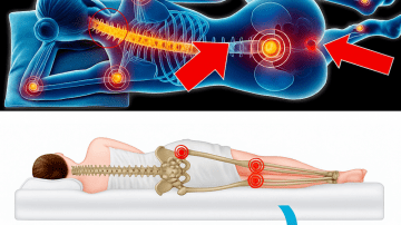 🌿 The Forbidden Backyard Miracle: Euphorbia Hirta – The Tiny Weed That Crushes Asthma, Spikes Platelets, and Heals Wounds Overnight