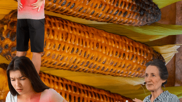 🔥 Taro: The Ancient Root Secret That Is About to Dethrone Quinoa and Sweet Potato as Your New Favorite Superfood