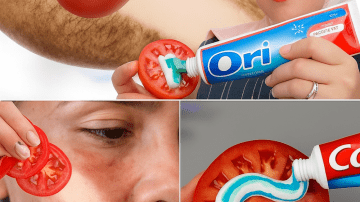 🌿 The Forbidden Backyard Miracle: Euphorbia Hirta – The Tiny Weed That Crushes Asthma, Spikes Platelets, and Heals Wounds Overnight