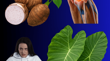 💀 SILENT ASSASSINS OF SENIOR HEALTH: The 7 Sleep Habits Accelerating Aging and Cognitive Decline