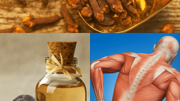 🌳 Uncover the Secret: The Common Tree Holding Nature’s Most Powerful Remedy for Swollen Legs