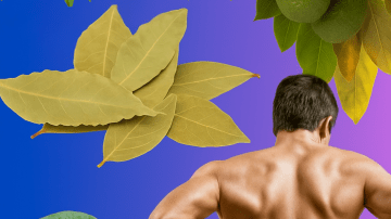 🌿 Oregano Unveiled: 18 Reasons This Humble Herb Is a Wellness Powerhouse