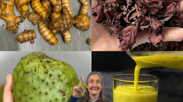 🌿 Oregano Unveiled: 18 Reasons This Humble Herb Is a Wellness Powerhouse