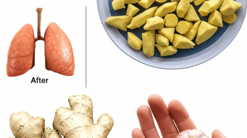 🌿 Why Purslane Is the Ultimate Superfood You Need in Your Garden Now