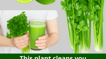 ✨ Dazzle with a Radiant Smile: The Lemon and Baking Soda Secret