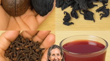 🌳 Unlock the Hidden Power of American Sweetgum: 7 Astonishing Health Benefits You Need to Know