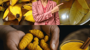 🦠 Ditch the Poison Traps: The Surprising Toothpaste Hack That Keeps Pests Away for Good