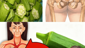 Discover Horse Chestnut: Nature’s Secret Weapon for Swollen Legs and Beyond 🌿