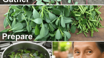 Unlock the Secret to Stronger Legs: 3 Delicious Natural Drinks That Defy Aging and Keep You Moving Freely