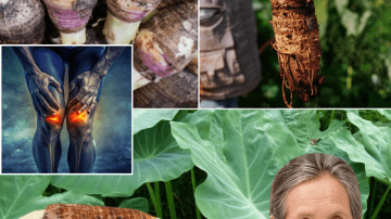 Unlock the Secret to Stronger Legs: 3 Delicious Natural Drinks That Defy Aging and Keep You Moving Freely