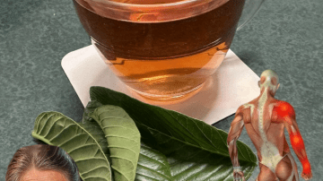 🌿 Can Salt Really Banish Bedbugs from Your Garden in Minutes? Uncover the Truth!