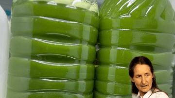 😴 Japan’s Ancient Secret: The Garlic Ritual That Guarantees Deep Sleep in 3 Nights 🌙