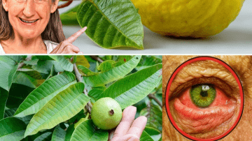 💎 The $1 Secret to Eliminating Eye Strain and Under-Eye Bags: Cucumber Juice is the Vision Revolution You Need 👁️