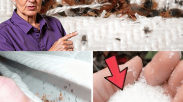 The 5-Minute Grandfather Hack: The Nighttime Elixir That Restores Youthful Vigor After 45