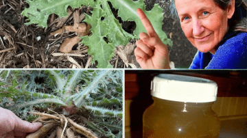 💎 The $1 Secret to Eliminating Eye Strain and Under-Eye Bags: Cucumber Juice is the Vision Revolution You Need 👁️