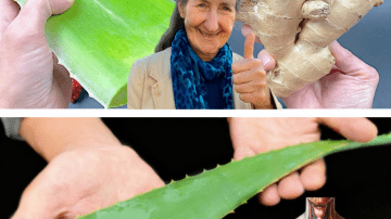 💡 The Vision Revelation: The Simple Homemade Elixir That Restored My Eyesight and Has Doctors Stunned 👓