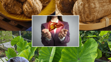 💡 The Vision Revelation: The Simple Homemade Elixir That Restored My Eyesight and Has Doctors Stunned 👓