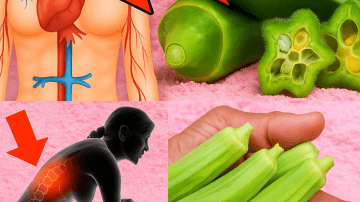 🥇 Forget Gold Mines: Why ONE Leaf of This Humble Plant is the Real Treasure for Your Aging Heart and Joints