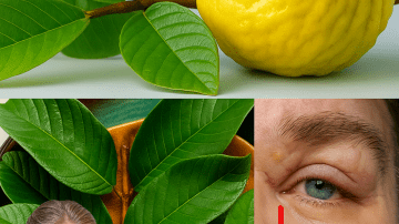 🍌 Banana, Garlic, and Date Elixir: The Surprising Superfood Blend Your Body Craves