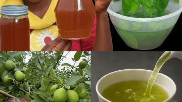 💀 SILENT ASSASSINS OF SENIOR HEALTH: The 7 Sleep Habits Accelerating Aging and Cognitive Decline