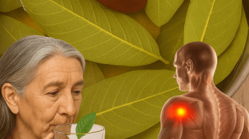 🌽 The Charcoal Revelation: 11 Forbidden Secrets of Grilled Corn That Will Change How You Eat BBQ Forever