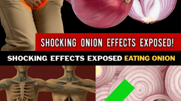 🌿 Discover the Hidden Power of the Miracle Leaf of Life: 11 Astonishing Benefits You Need to Know