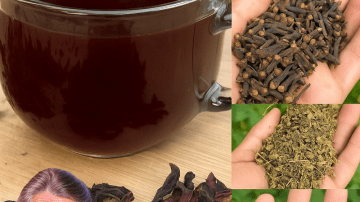 🌿 Oregano Unveiled: 18 Reasons This Humble Herb Is a Wellness Powerhouse