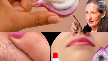 🌿 Unlock the Hidden Power of Guava Leaves: 4 Simple Home Recipes That Transform Your Health + 30 Surprising Benefits You’ll Wish You Knew Sooner