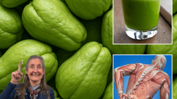 🔥 Unlocking Nature’s Secret: 20 Mind-Blowing Health Wonders of the Miracle Leaf You’ll Wish You Knew Sooner