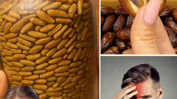 🌳 Unlock the Hidden Power of American Sweetgum: 7 Astonishing Health Benefits You Need to Know