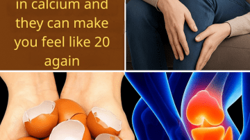 🌳 Unlock the Hidden Power of American Sweetgum: 7 Astonishing Health Benefits You Need to Know