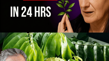 🔥 What If the Tiny Clove in Your Kitchen Could Silence a Screaming Earache in Minutes?