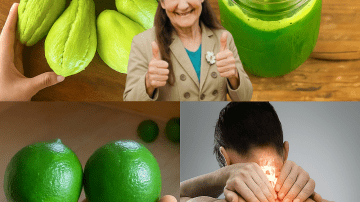 🦠 Ditch the Poison Traps: The Surprising Toothpaste Hack That Keeps Pests Away for Good