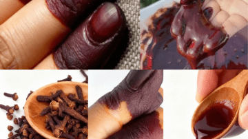 🌿 The Hidden Elixir: Why Dandelion Is Nature’s Unsung Superhero