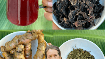 🌿 The Hidden Elixir: Why Dandelion Is Nature’s Unsung Superhero