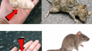 🩺 20 Silent Signs of Diabetes You Might Be Ignoring: Could You Be at Risk?