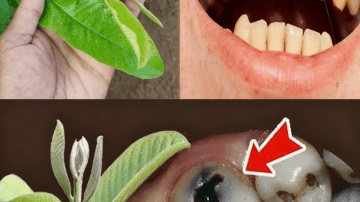 💡 The Vision Revelation: The Simple Homemade Elixir That Restored My Eyesight and Has Doctors Stunned 👓