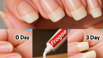 🌿 The Shy Plant’s Secret Power: Unlock Mimosa Pudica Tea’s 15 Hidden Benefits That Big Pharma Doesn’t Want You to Know!