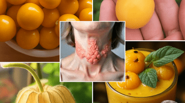 🌿 Oregano Unveiled: 18 Reasons This Humble Herb Is a Wellness Powerhouse