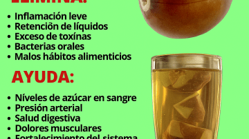 🌿 Discover the Hidden Power of the Miracle Leaf of Life: 11 Astonishing Benefits You Need to Know