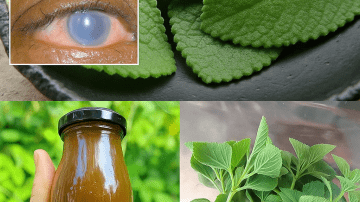 😁 Glow Naturally: The Surprising Power of Ginger and Baking Soda for a Radiant Smile