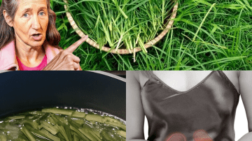 😁 Glow Naturally: The Surprising Power of Ginger and Baking Soda for a Radiant Smile