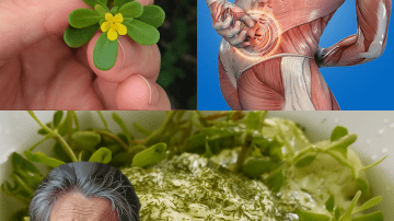 🤫 The Secret Elixir: What Happens When You Drink Clove Water Every Morning? (The 8 Benefits They Don’t Tell You About)