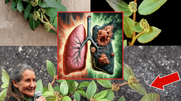 🌟 This Baking Soda Cream Could Erase Wrinkles and Spots in Just 30 Days!