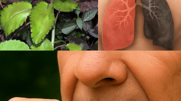 🌿 Shocking Truth: Flush Out Intestinal Parasites in Minutes with These Powerhouse Foods!