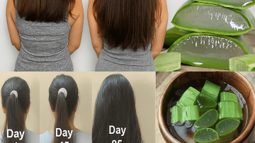 🌿 The Forbidden Healing Bush That Erases Infections Overnight: 30 Mind-Blowing Benefits of Senna Alata